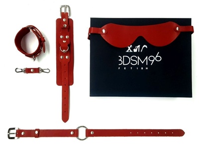 БДСМ-набор в красном цвете Госпожа красный BDSM96 