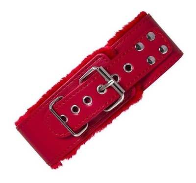 Красный ошейник с металлической фурнитурой Toyfa Basic 