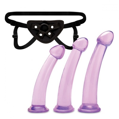 Набор секс игрушек Lux Fetish Pegging Training Set (фиолетовый) 
