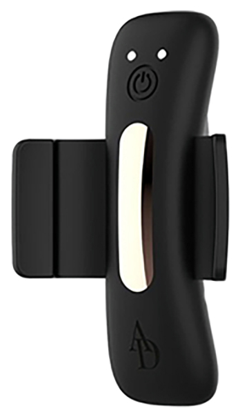 Вибровкладка в трусики с пультом DreamLove Anne s Desire Vibro Panty Wireless черная (черный; золотистый) 