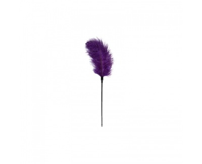 Easytoys Feather tickler - пёрышко для тиклинга (Фиолетовый) 